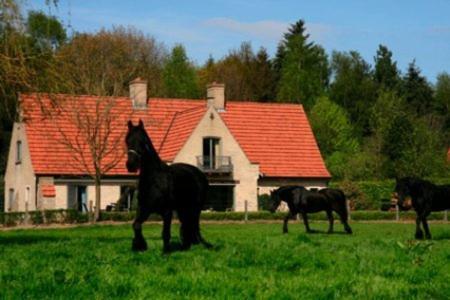 B&B Heerlijkhyd Hertsberge Buitenkant foto